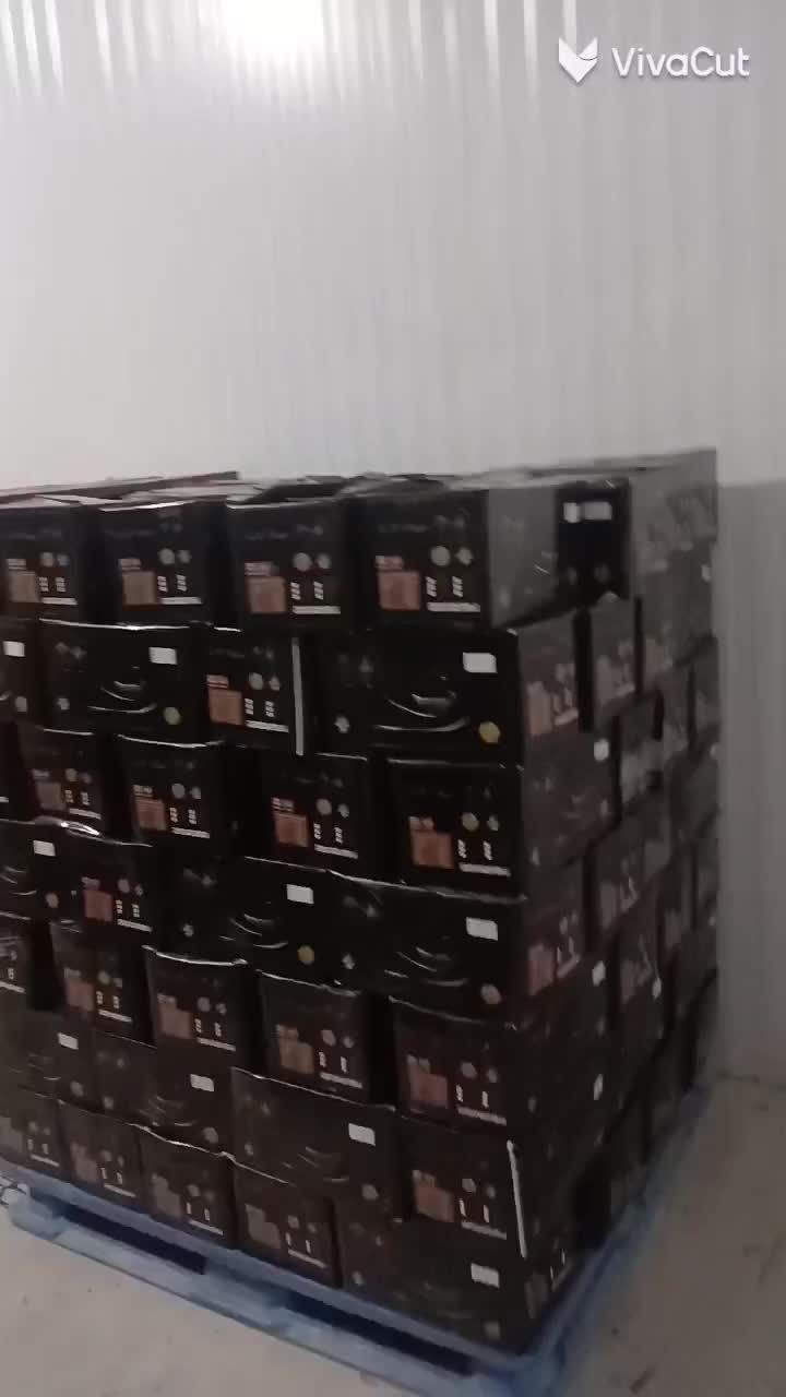 خرما|عمدهفروشی|بجنورد, |دیوار