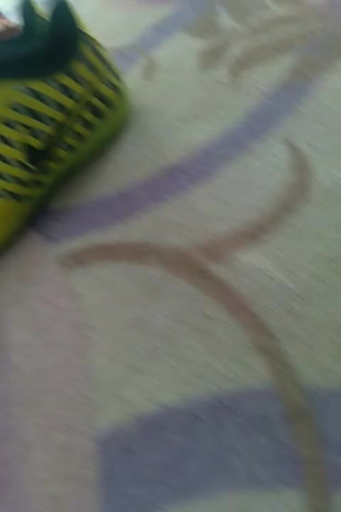 دستکش بوکس وکفش سالونی درحدنو|تجهیزات ورزشی|دورود, |دیوار