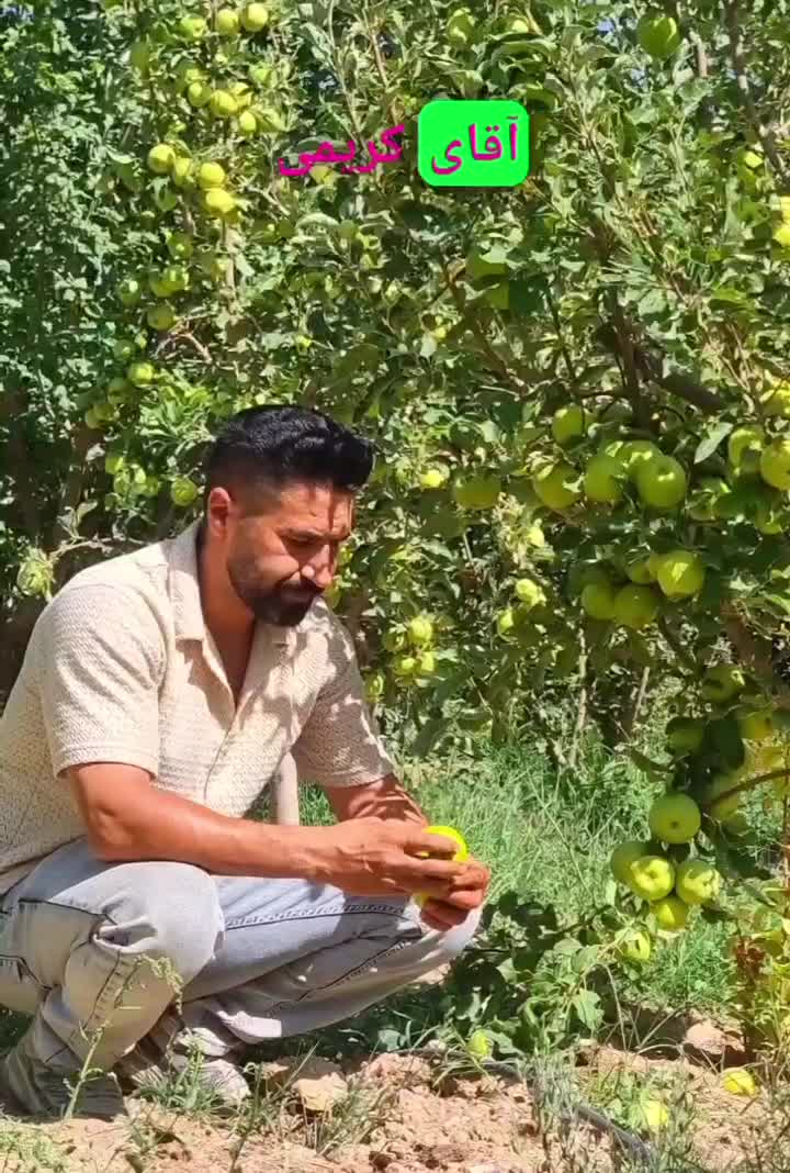 باغچه 150متری450میل.یون/اقساط/90کیلومتری پایتخت|فروش خانه و ویلا|تهران, تهرانپارس شرقی|دیوار