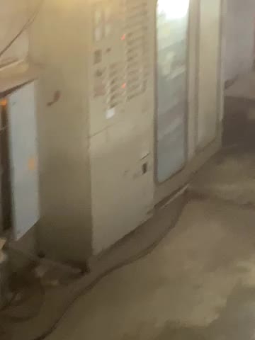 بچه ماهیه قزل الا|ماهی|کرمان, |دیوار