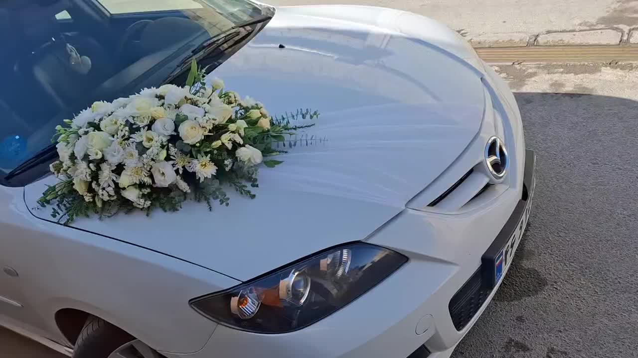 گل پیچک|گل و گیاه طبیعی|نجف‌آباد, جلال آباد|دیوار