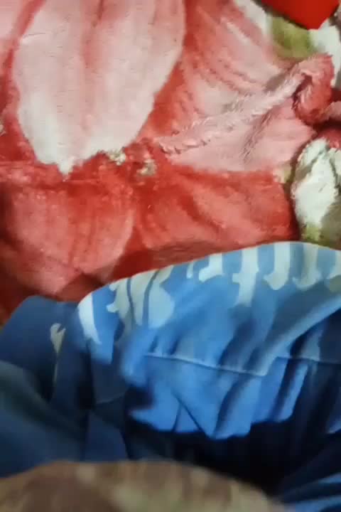 دو عدد شهاب سنگ|کلکسیون اشیاء عتیقه|حمیل, |دیوار