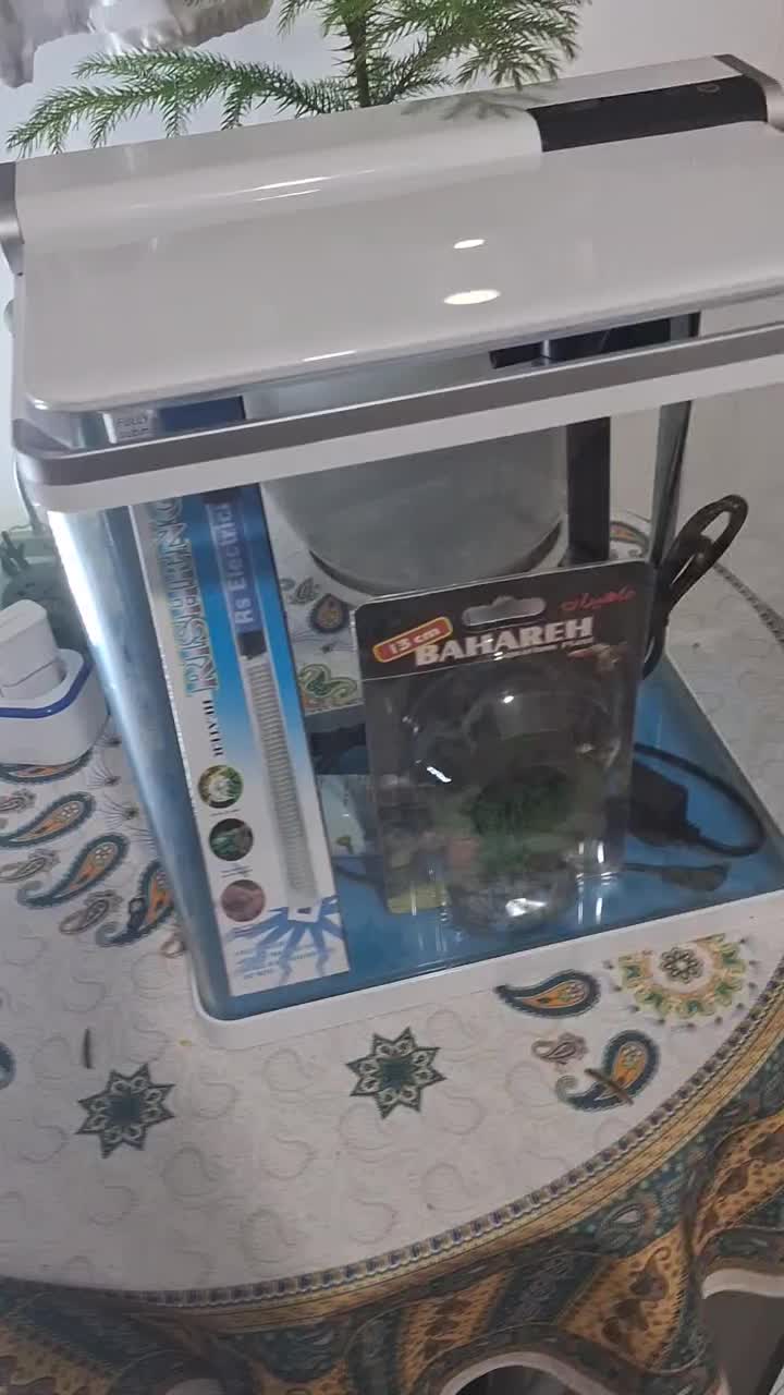 اکواریوم sobo اصلled|ماهی|زاهدان, |دیوار