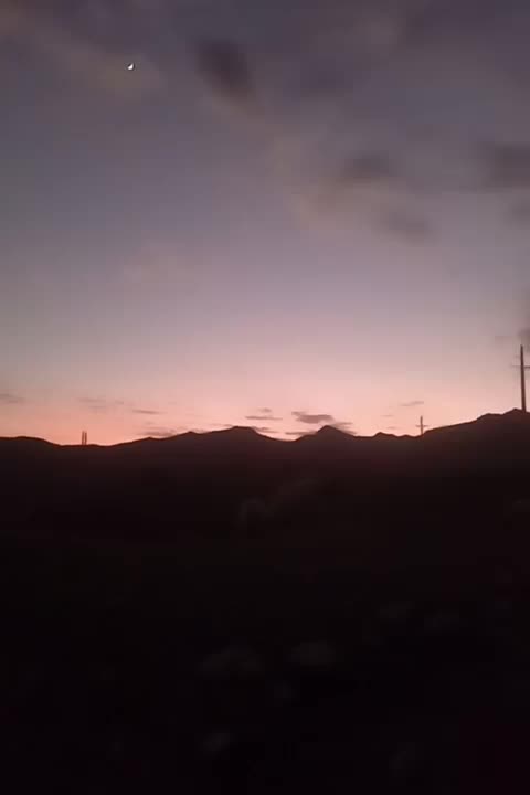 نر میش|حیوانات مزرعه|لالی, |دیوار