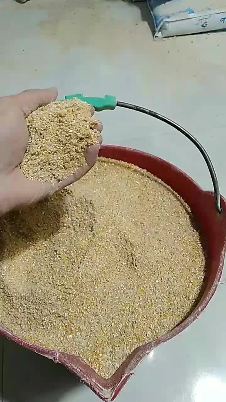 تولید دان با کیفیت گوشتی و تخمگذار انواع پرندگان|لوازم جانبی حیوانات|شاندرمن, |دیوار