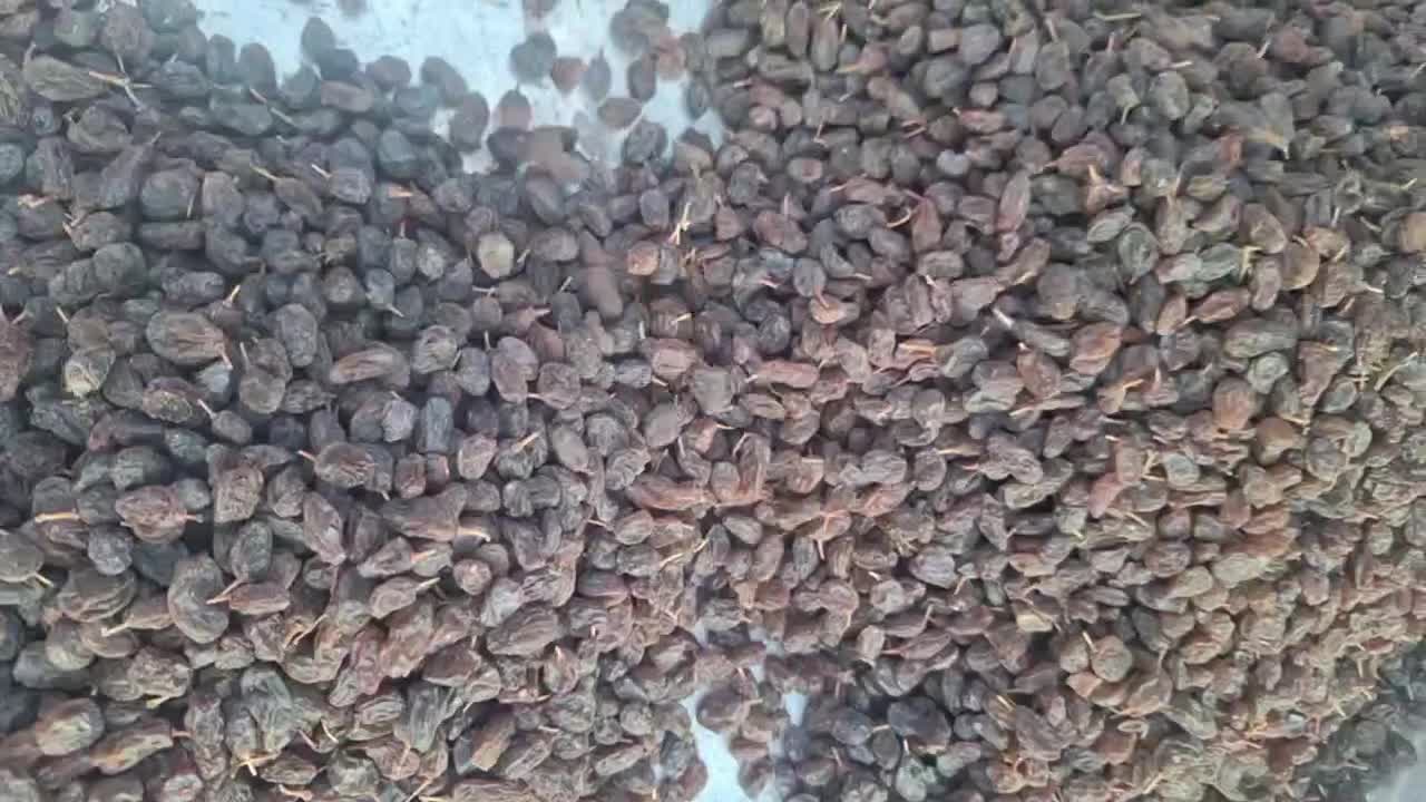 کشمش|خوردنی و آشامیدنی|بناب, |دیوار