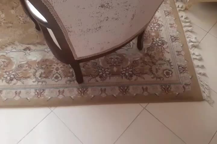 فرش ماشینی|فرش|تهران, شهرک دانشگاه|دیوار