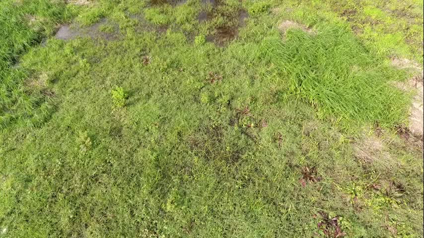 فروش زمین مسکونی روستایی ۳۷۰متری|فروش زمین و ملک کلنگی|شفت, |دیوار
