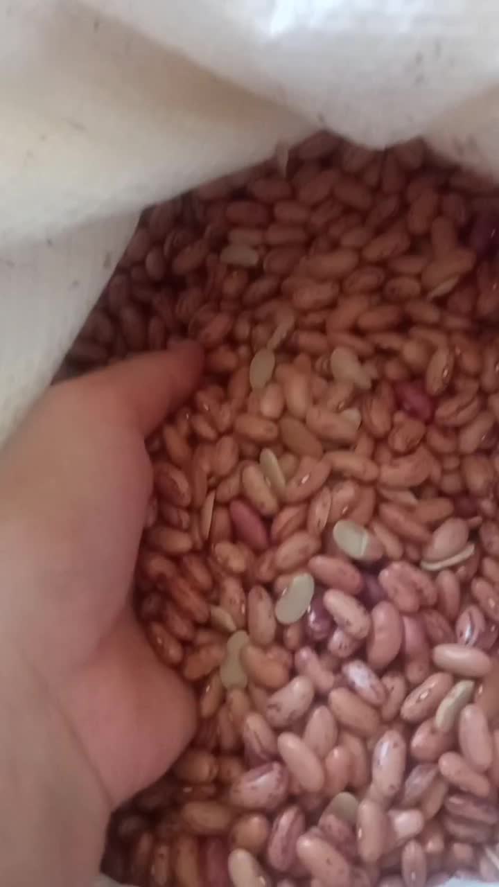 لوبیا چیتی ازبکی|خوردنی و آشامیدنی|شیراز, شهرک مطهری|دیوار