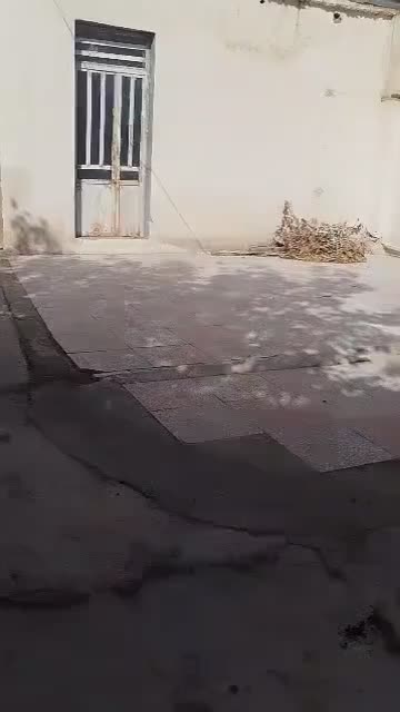 خانه باغ روستایی 500متری سند تک برگ|فروش خانه و ویلا|شیراز, کوشک بیدک|دیوار