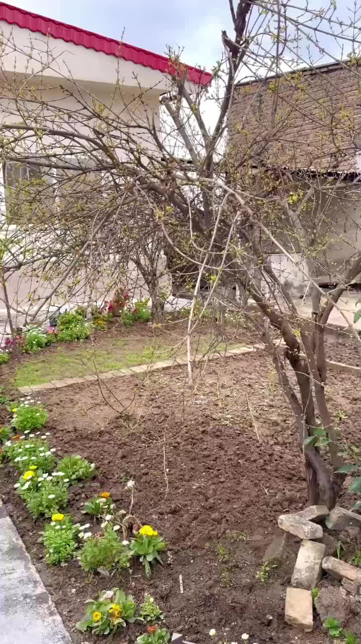 سوییت اجاره ای|اجارهٔ کوتاه‌مدت آپارتمان و سوئیت|رستمکلا, |دیوار