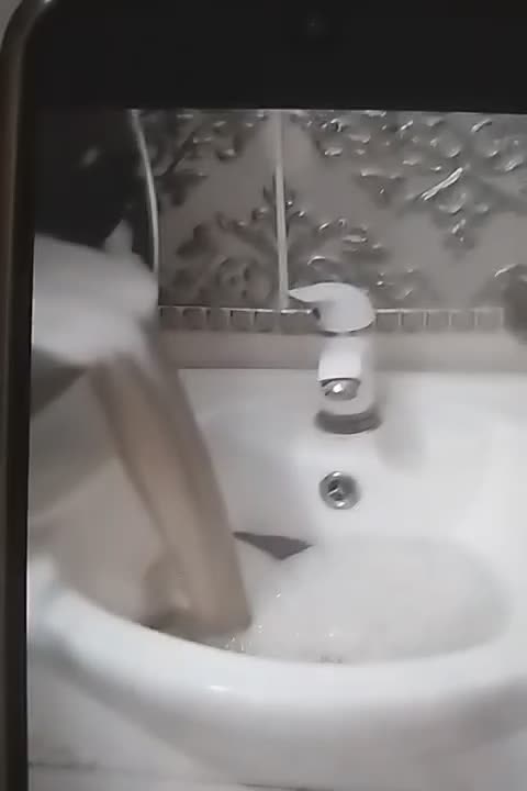 مبلشویی کیا متخصص درشستشوی انواع مبلمان|خدمات نظافت|بندرعباس, |دیوار