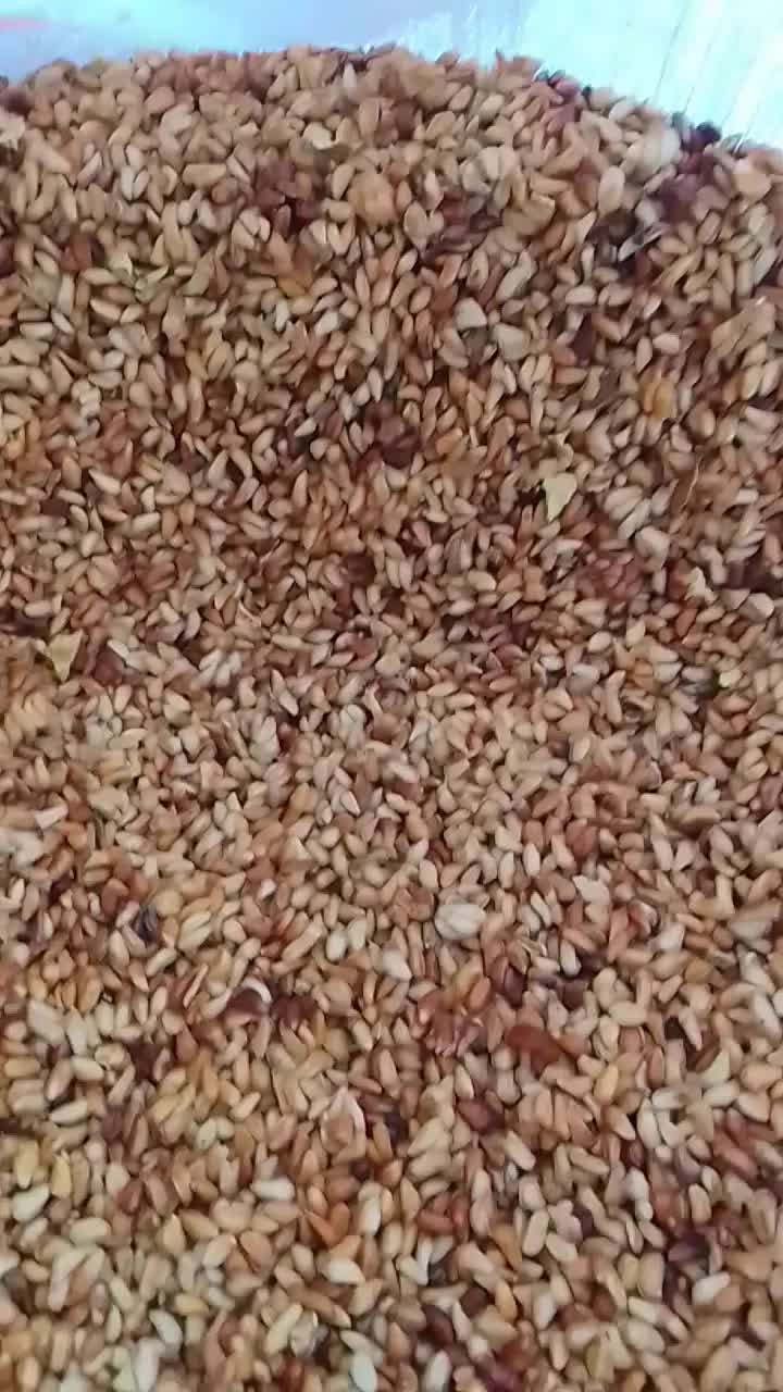 ترشی بهداشتی اندیکا|خوردنی و آشامیدنی|اندیکا, |دیوار