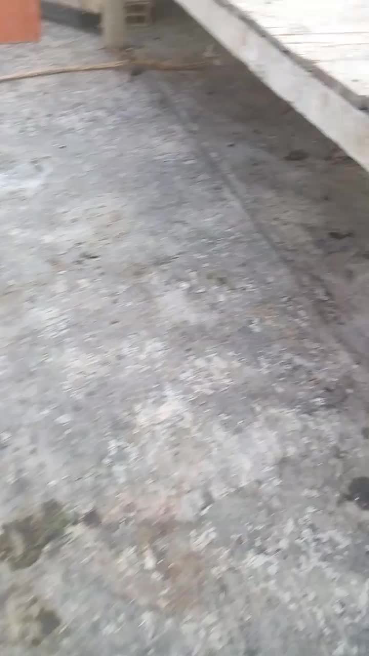 خرگوش|موش و خرگوش|شهریار, شهرک امیریه|دیوار