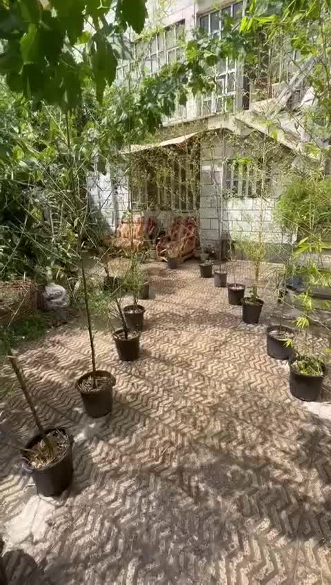 اجاره سوییت اپارتمان عظیمیه جاده چالوس دربست|اجارهٔ کوتاه‌مدت آپارتمان و سوئیت|کرج, مهرویلا جنوبی|دیوار