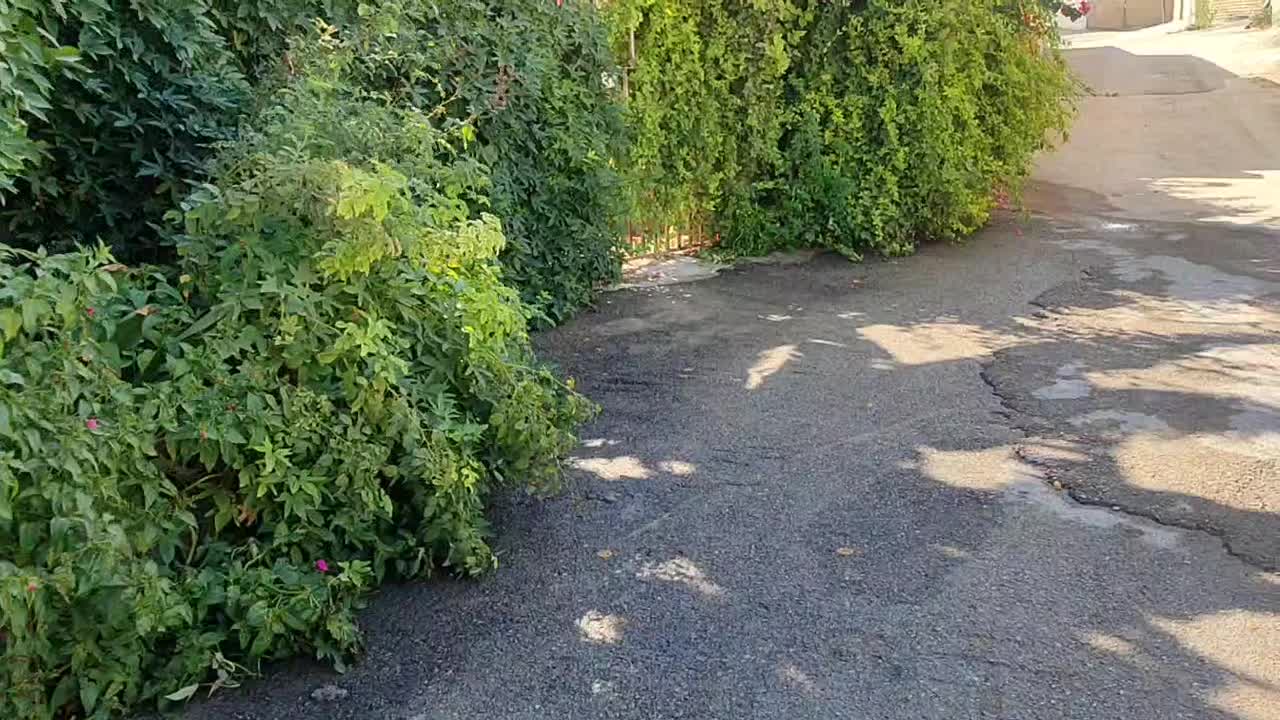 سوئیت روزانه|اجارهٔ کوتاه‌مدت آپارتمان و سوئیت|نورآباد ممسنی, |دیوار