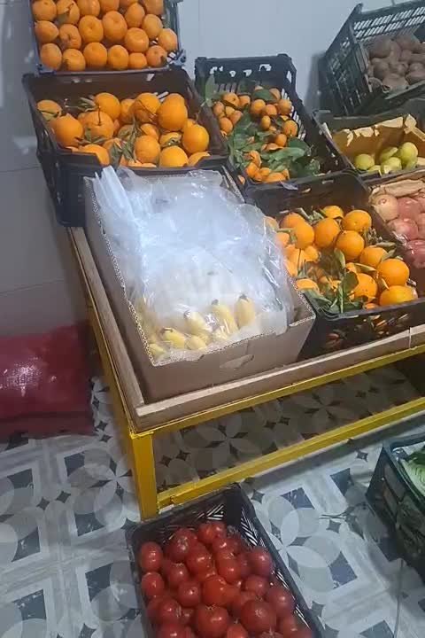 طبق میوه فروشی  دو عدد|فروشگاه و مغازه|کرمانشاه, |دیوار