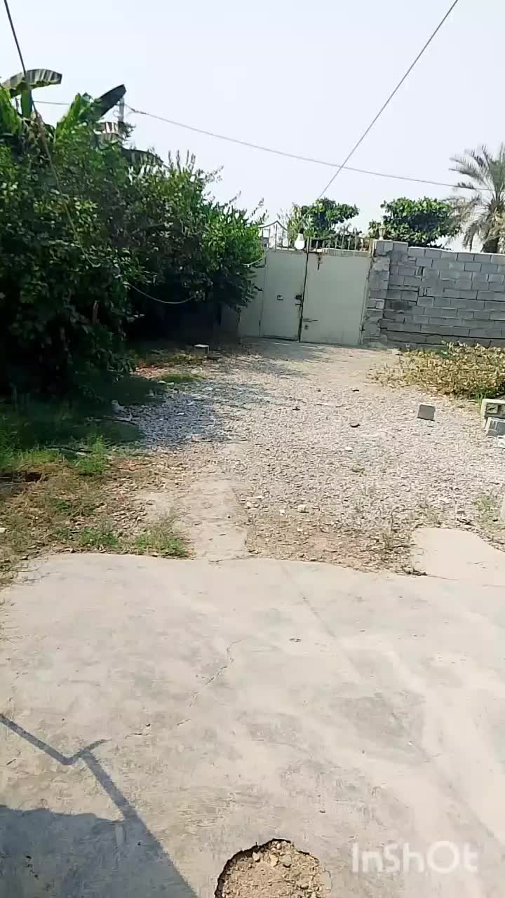 خانه اجاره|اجارهٔ خانه و ویلا|شمیل, |دیوار