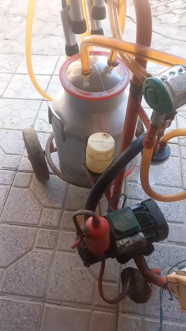 شیردوش|ماشین‌آلات صنعتی|جوکار, |دیوار