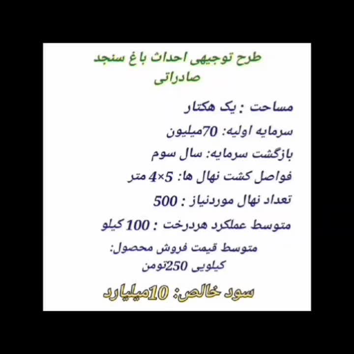 فروش نهال سنجد اصلاح شده صادراتی|خدمات باغبانی و درختکاری|نیشابور, دارایی|دیوار