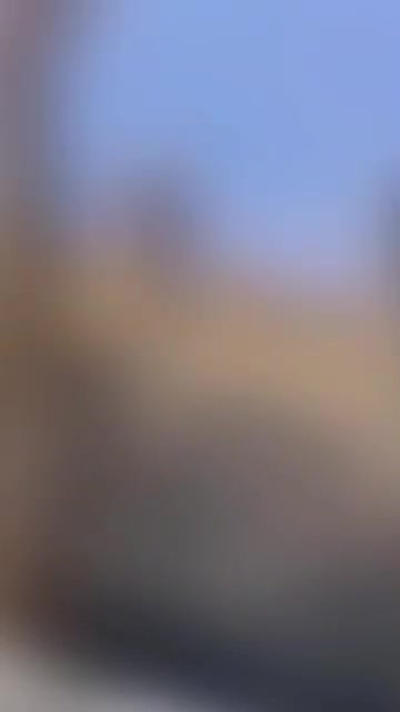 پرنده جوجه تخم خوراکی گوشت شترمرغ قلم بوقلمون|حیوانات مزرعه|یاسوج, |دیوار