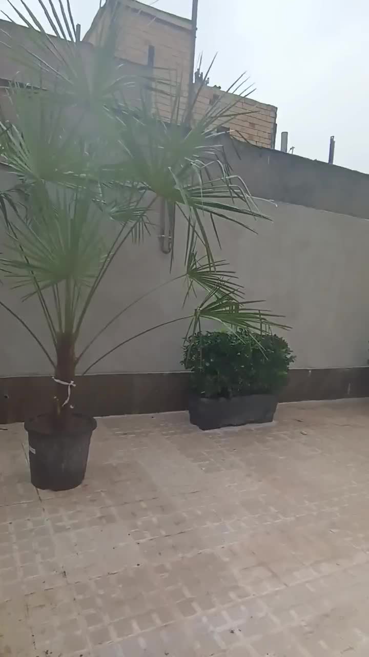 خانه ویلایی شیک هرجزیی از این باکیفیت وبا سلیقه|فروش خانه و ویلا|مشهد, چاهشک|دیوار