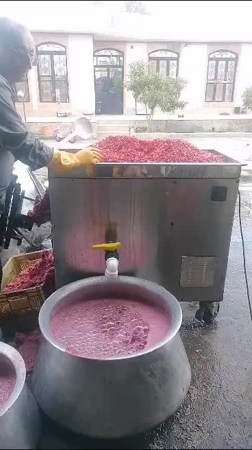 ابگیری انار،دستگاه اب گیری انار چندکاره|عمده‌فروشی|تهران, یافت آباد جنوبی|دیوار