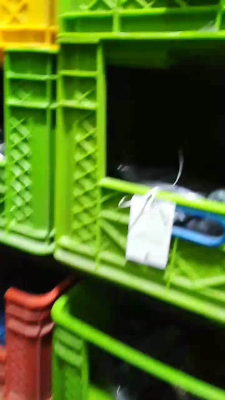 کتونی نیوبالانس 530 اصل ویتنام|کیف، کفش، کمربند|ری, بی‌بی شهر بانو|دیوار