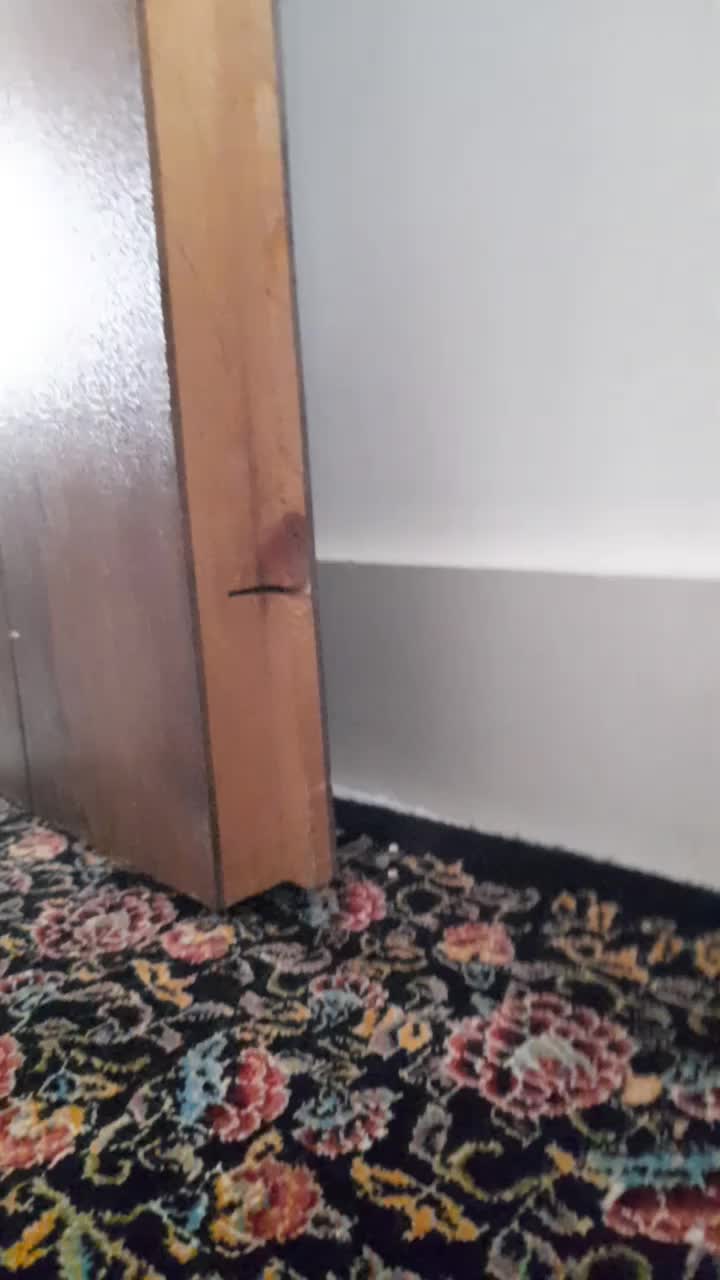 کارت کیمدی کد نخورده|اسباببازی|کوهدشت, |دیوار