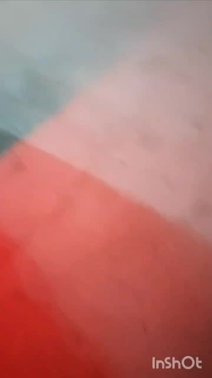 اسب زین شده نیسان ابی|خودرو سواری و وانت|یاسوج, |دیوار