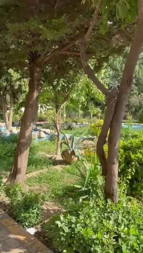 هروی وفا منش 155 متر طبقه 5