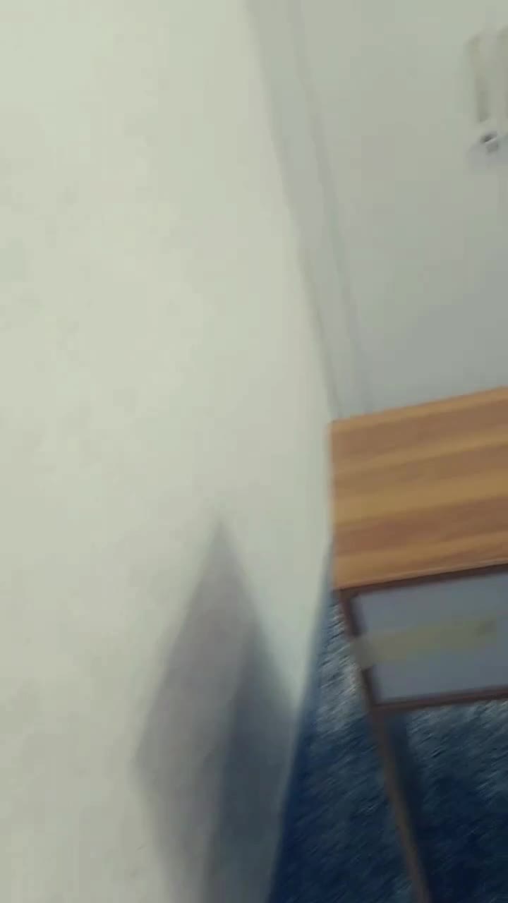 تخت|تخت و سرویس خواب|شوش, |دیوار
