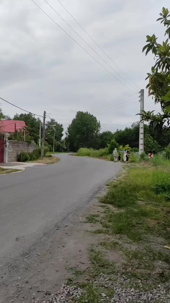 کلبه سوئیسی|اجارهٔ کوتاه‌مدت آپارتمان و سوئیت|کیاشهر, |دیوار