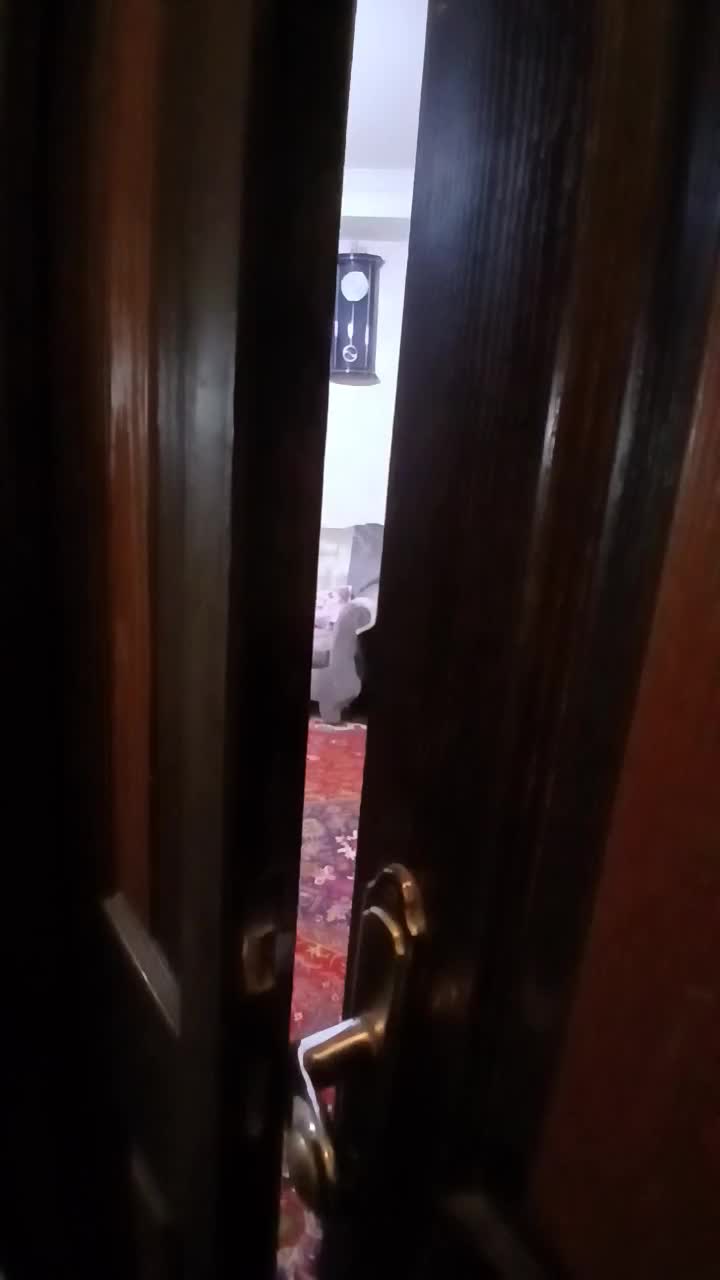 فروش یک واحد آپارتمان ۳ خوابه|فروش آپارتمان|عجب شیر, |دیوار