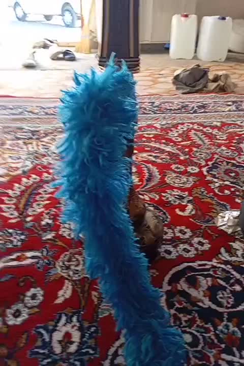 قلیون|کلکسیون و سرگرمی|شیروان (خراسان), |دیوار