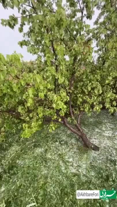 فروش انواع دستگاهای ضدتگرگ وسرمازدگی|ماشینآلات صنعتی|شیراز, لاله|دیوار