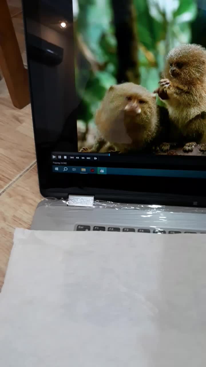 لپ تاپ i7dell لمسی 360  اصل  آمریکا اورجینال|رایانه همراه|رشت, چله خانه|دیوار