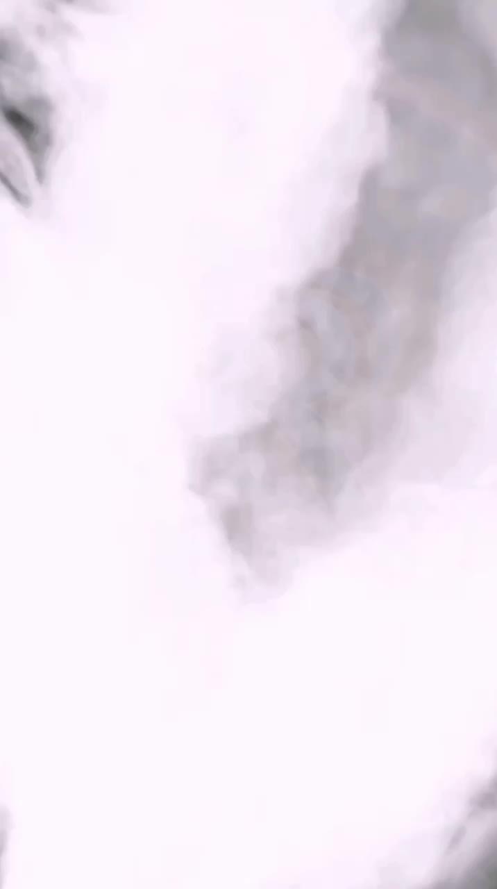 دستگاه های حضور و غیاب (هوشمند رایانه)|دفتر کار|قوچان, |دیوار