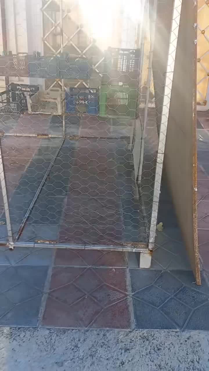 قفس بزرگ|لوازم جانبی حیوانات|ملکشاهی, |دیوار