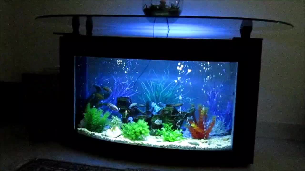 میز ناهار خوری با پایه آکواریوم|میز و صندلی غذاخوری|اصفهان, باغ کاران|دیوار