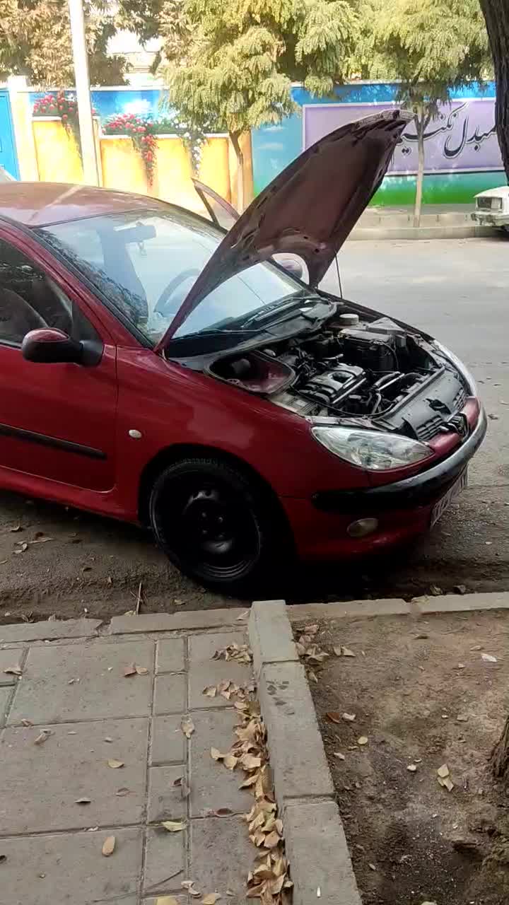 پژو 206|خودرو سواری و وانت|مشهد, میعاد (شهرک غرب)|دیوار