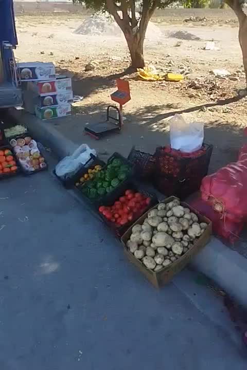 میوه وتر بار  قیمت شکن|عمده‌فروشی|اندیکا, |دیوار