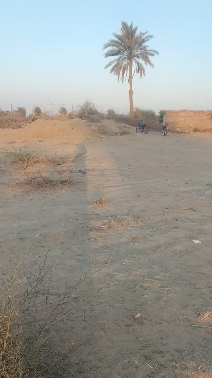 فروش فوری یک قطعه زمین|فروش زمین و ملک کلنگی|دشتیاری, |دیوار