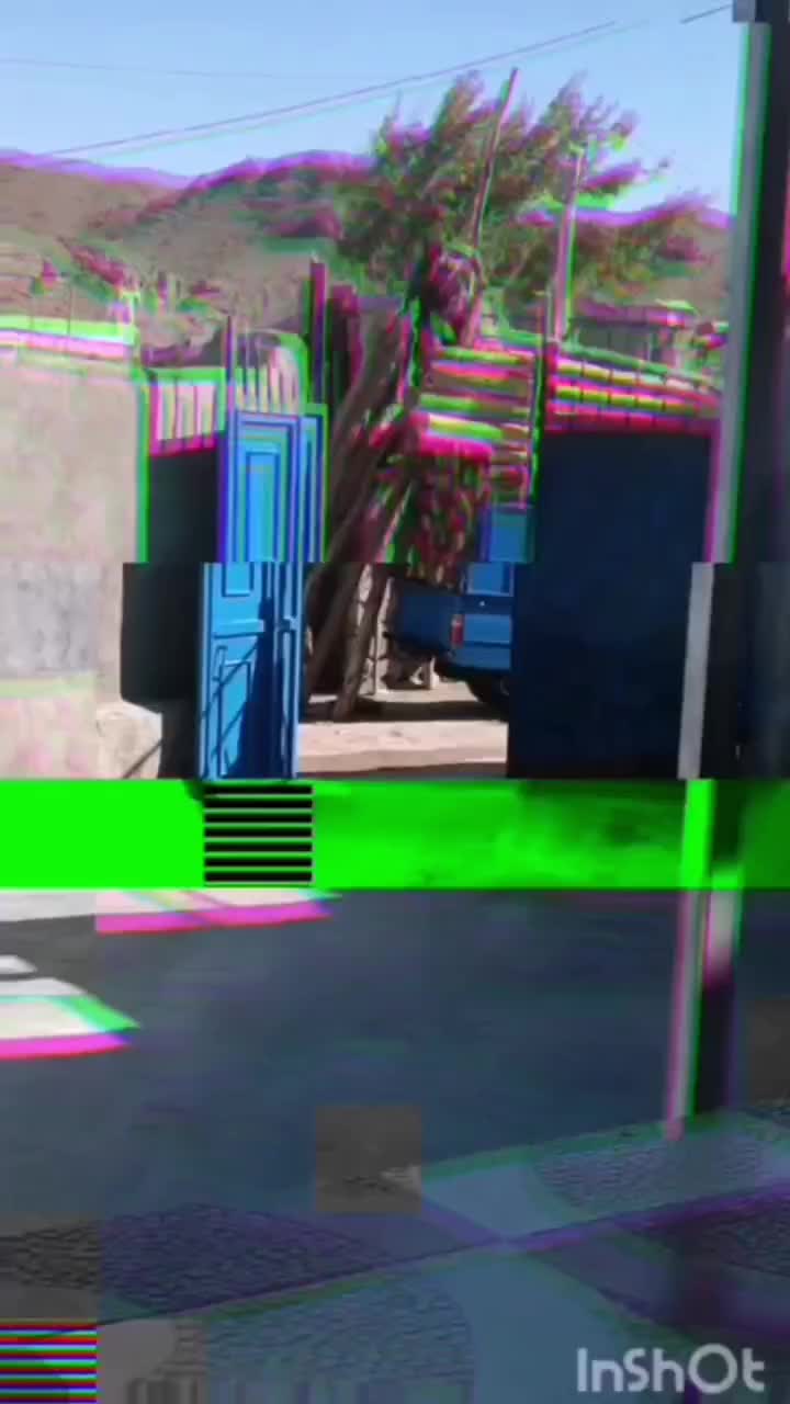 سلام چوب خشک شما را به به قیمت بالا خریدارم|خدمات باغبانی و درختکاری|اهر, |دیوار