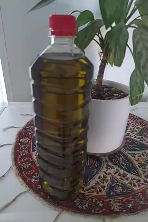 روغن زیتون اصل خالص|خوردنی و آشامیدنی|گمیشان, |دیوار