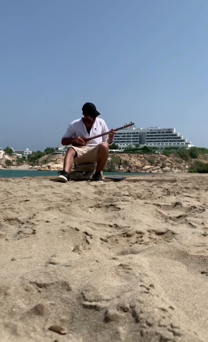 آموزش سه تار ، با روش ساده با ۱۵ سال سابقه تدریس|خدمات آموزشی|تهران, قلهک|دیوار