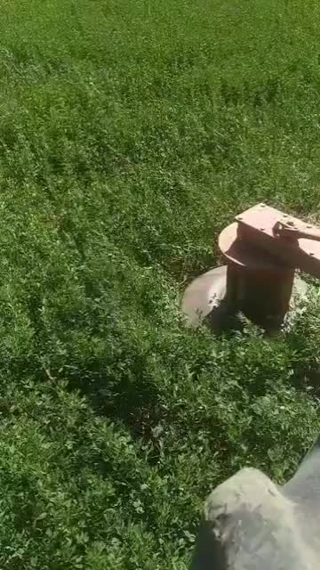 تراکتور ۲۸۵ مدل ۸۶|خودرو سنگین|بروجرد, |دیوار