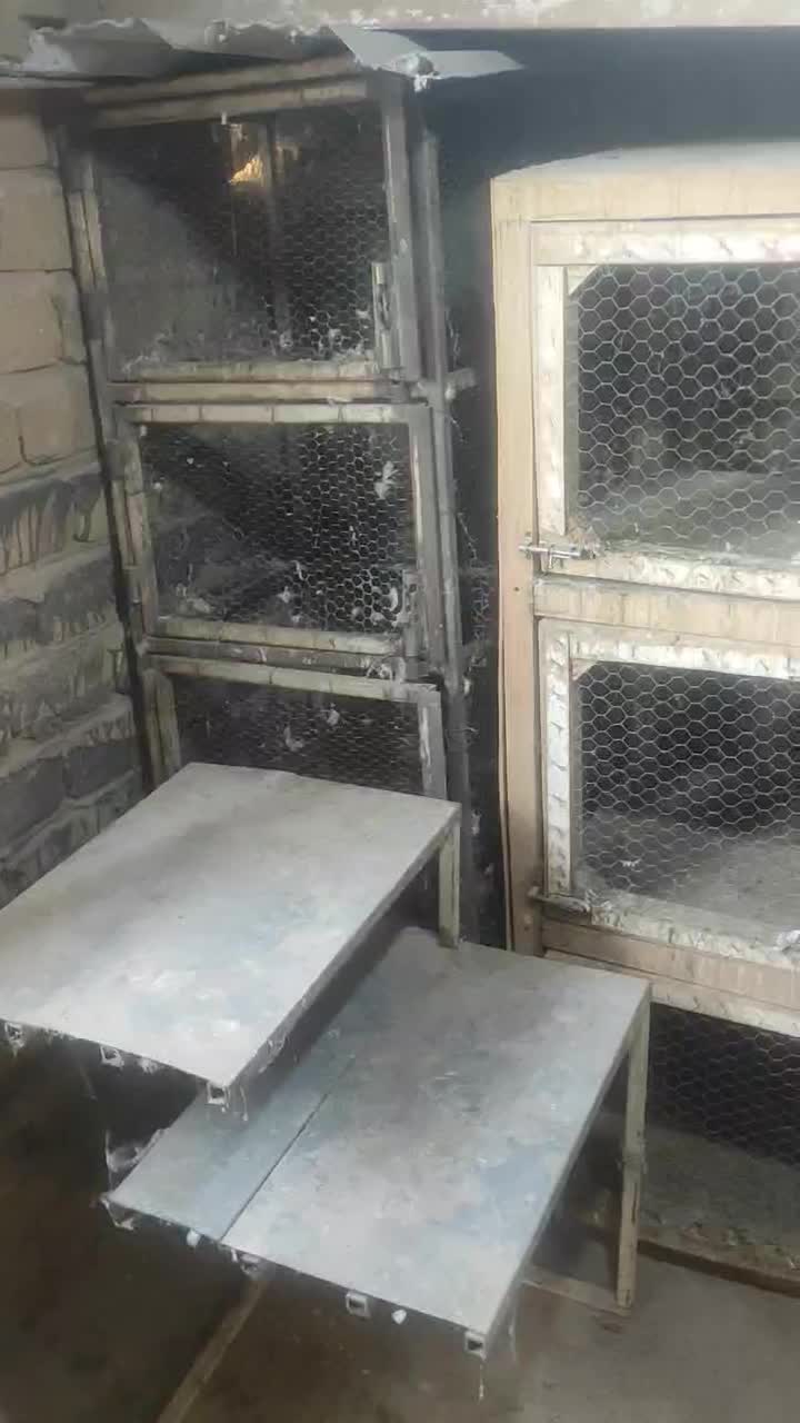 قفس جفتگاه|لوازم جانبی حیوانات|طرقبه, |دیوار