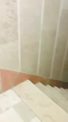 واحد ۵۵ متری خوش نقشه|اجارهٔ آپارتمان|تهران, بهداشت|دیوار