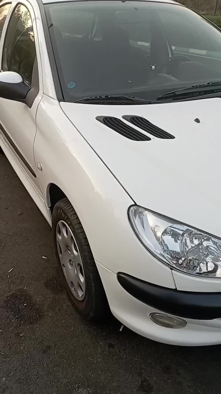 ۲۰۶بدون تصادف درجه یک|خودرو سواری و وانت|تهران, جنت‌آباد جنوبی|دیوار